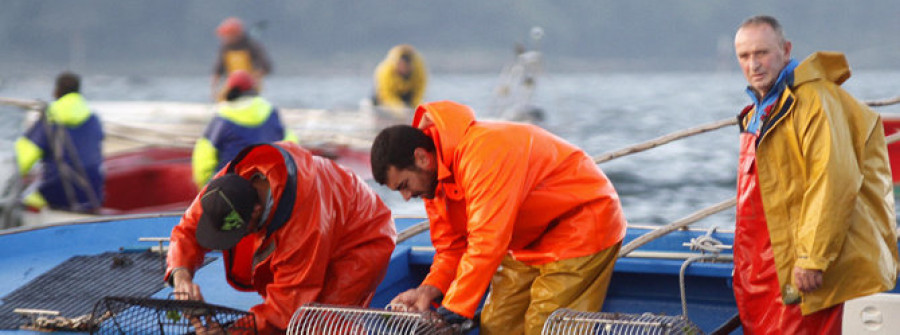 La Xunta destina dos millones de euros a compensar el cierre de bancos marisqueros