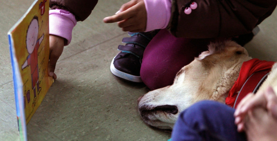 Leer cuentos a perros, terapia para los más peq ueños