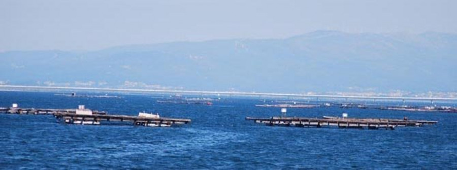 La marea roja paraliza el sector bateeiro en la Ría de Arousa