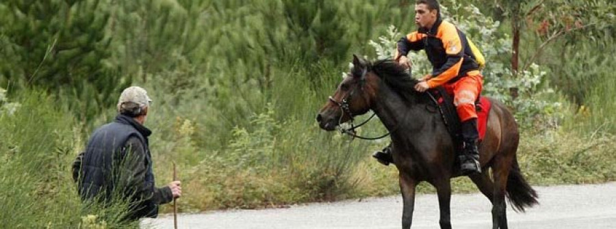 Capturan tres de los caballos salvajes que destrozaron las cosechas en Castroagudín