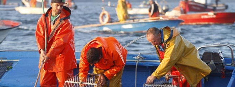 Mar plantea mantener cerrado Os Lombos en la próxima campaña de libre marisqueo