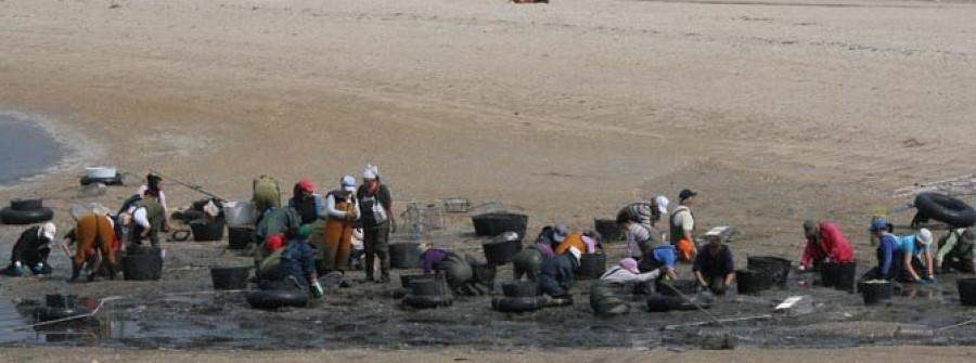 Bamio y A Fangueira, próximos destinos de trabajo de las mariscadoras de Carril