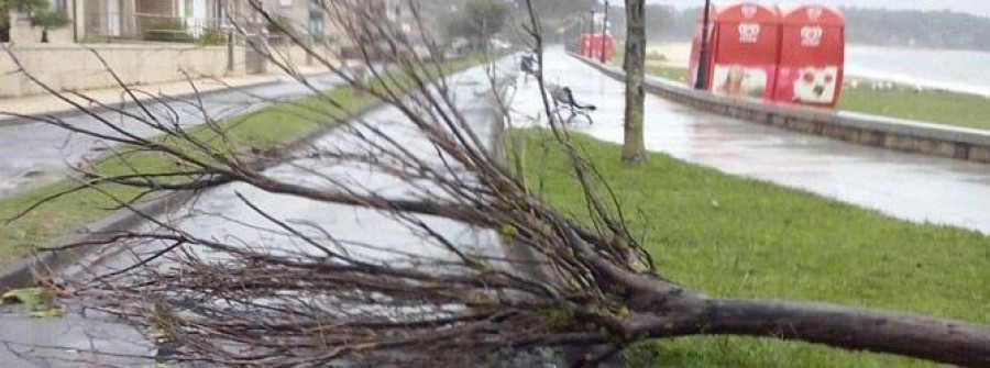 Las intensas lluvias y el fuerte viento causaron un reguero de incidencias