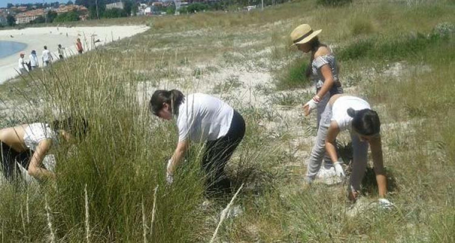 El CES recuerda que es necesaria la regeneración dunar en la playa de Baltar