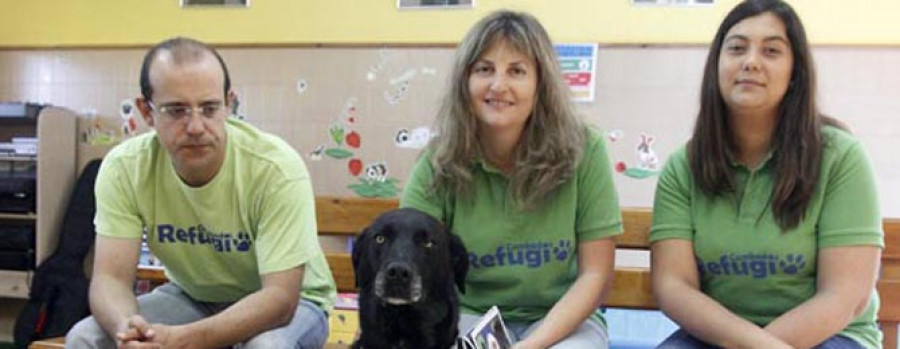 CAMBADOS - El Refugio es pionero en Galicia en un nuevo programa de terapia con perros