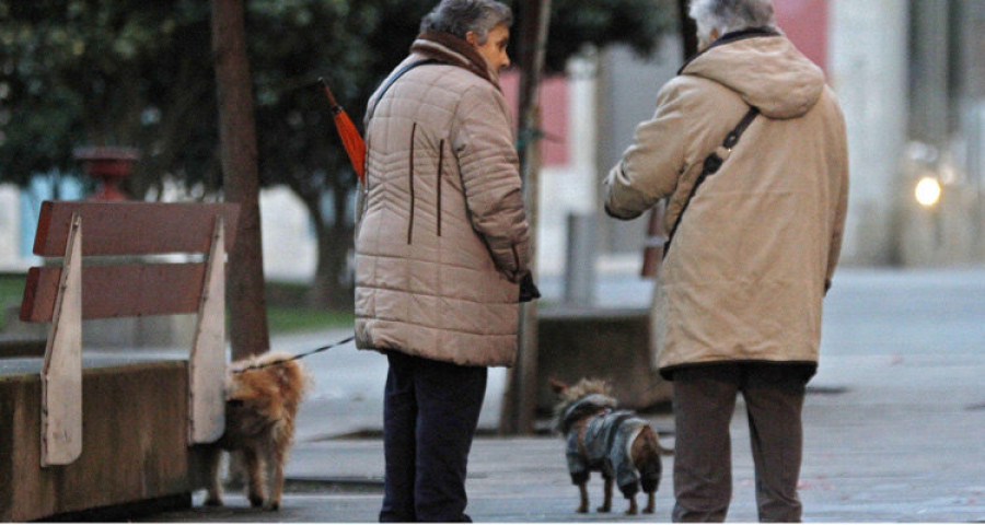 Vilagarcía censa 7.092 perros, de los cuales 252 son considerados peligrosos