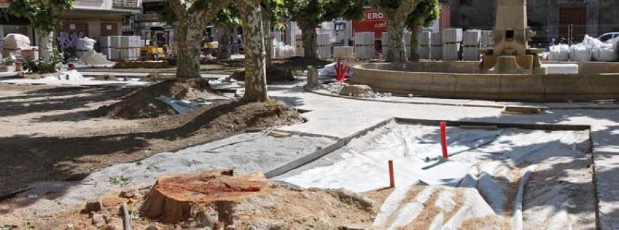 La tala de un árbol centenario en la Praza de España crispa a vecinos y comerciantes