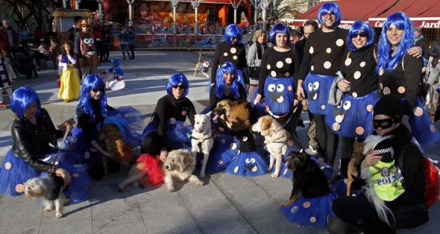 Reportaje | Mascotas de toda la comarca se disfrazan en Vilanova en el prólogo al Momo