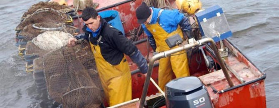 PONTECESURES - AGE pide que se suavicen as normas de venda de lamprea para non perxudicar aos valeiros