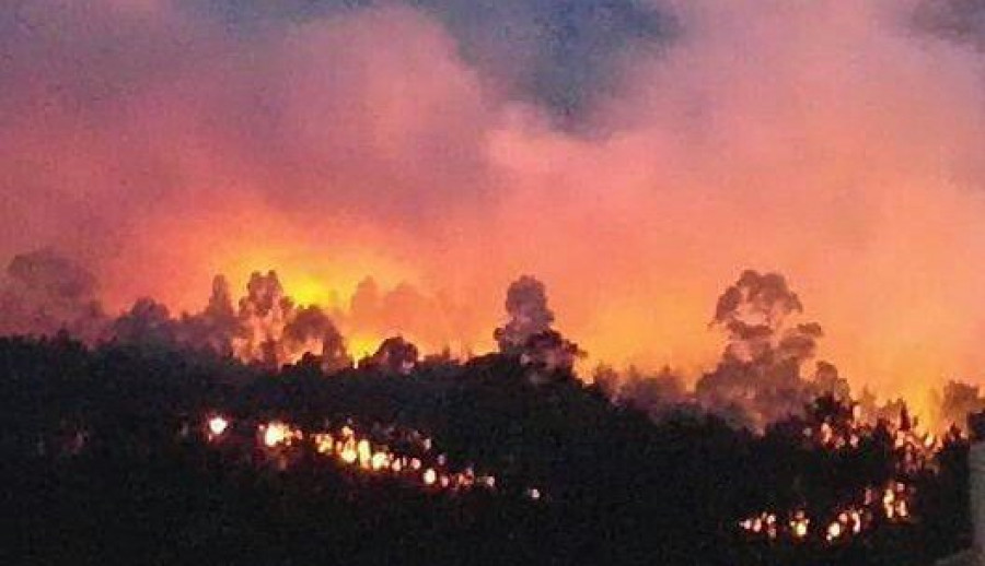 A POBRA - El primer incendio del verano calcina 11.300 metros cuadrados de monte arbolado en Portofreixo