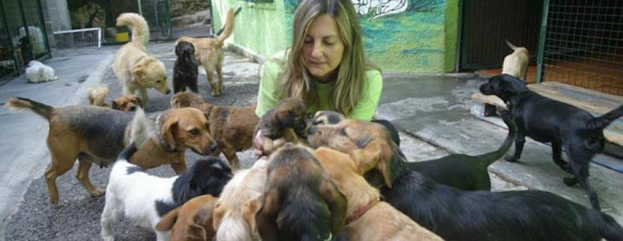 CAMBADOS - Una oferta de un millón de pesetas por perros muertos: el inicio de una sospecha