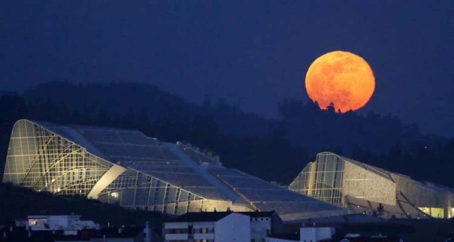 China enviará semillas e insectos a la Luna