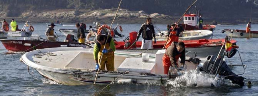 O Bohído y Cabío salvan un primer día de libre marisqueo tras la debacle en Os Lombos