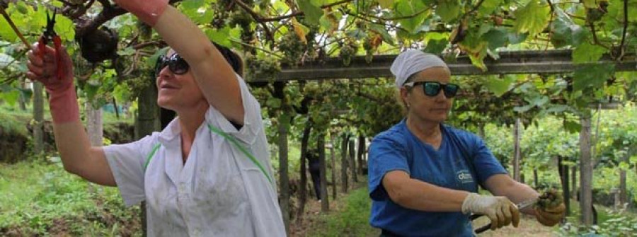 CAMBADOS-Quintana considera al vitivinícola un “sector en auxe” al exportar en 2014 más de 6 millones de litros