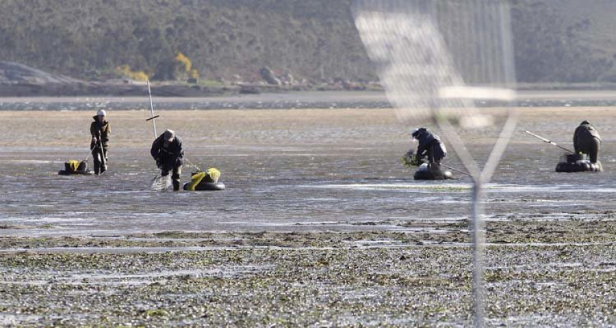 La polémica por una ayuda origina otro enfrentamiento entre oficialistas y críticos de la Cofradía carrilexa