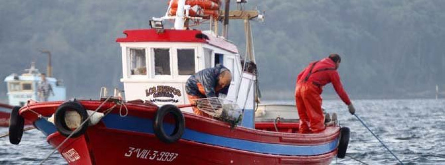 La Xunta ratifica la veda temporal en los bancos de libre marisqueo