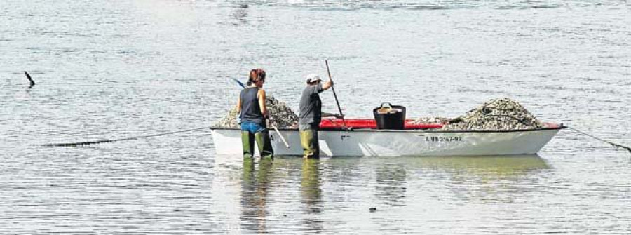 Mar exige a los parquistas una petición individual de los talonarios de guías