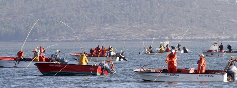 Las cofradías de Arousa piden a Mar que cierre también O Bohído y Cabío