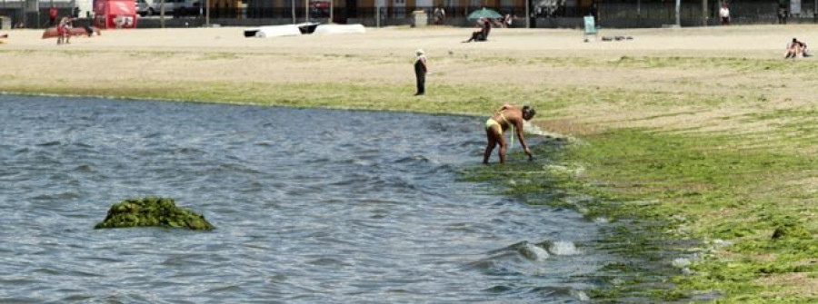 Malestar entre los bañistas por la llegada de montículos de algas vertidas por parquistas