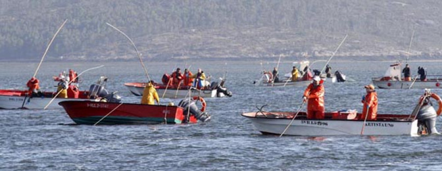 Los pósitos fijarán el jueves los cupos para la campaña de libre marisqueo