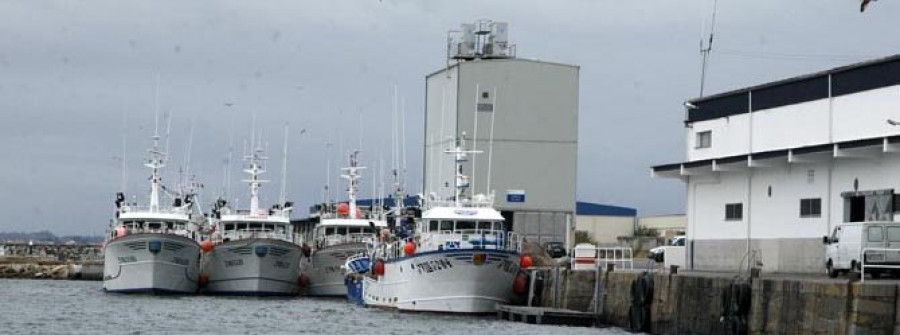 El cerco presenta alegaciones contra la exclusión de ayudas por el paro de la sardina