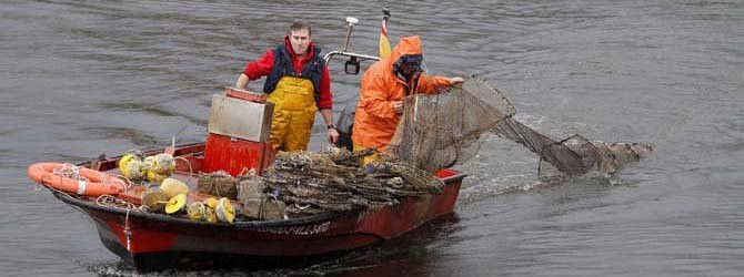 La campaña de la lamprea arranca con la participación de solo dos embarcaciones