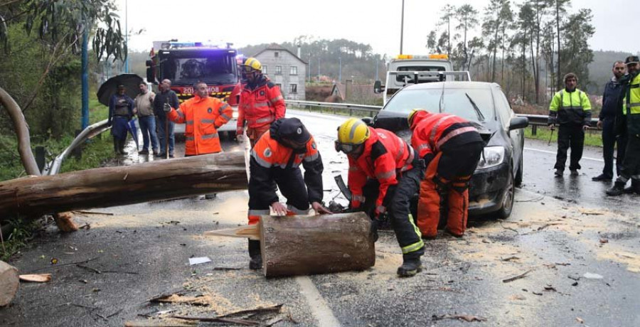 La caída de un árbol en Baión causa un accidente con cuatro heridos