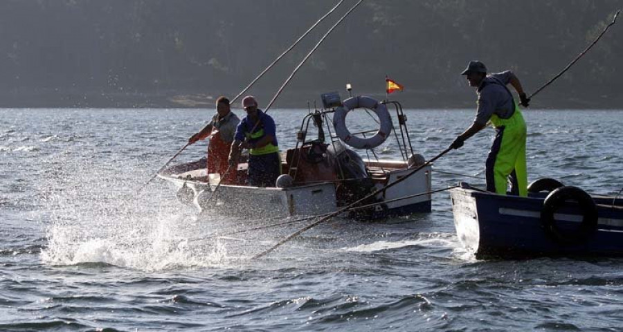 El libre marisqueo salda su primera semana con 38 toneladas de bivalvos