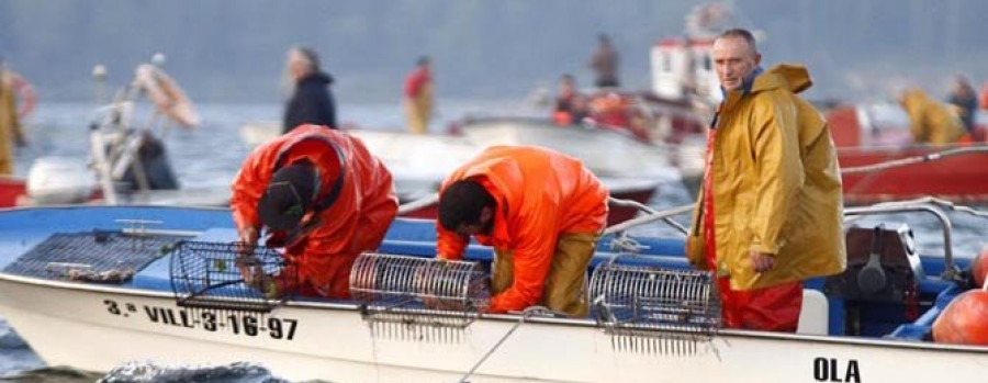 Las capturas de libre marisqueo en Os Lombos cayeron un 75 % desde 2009