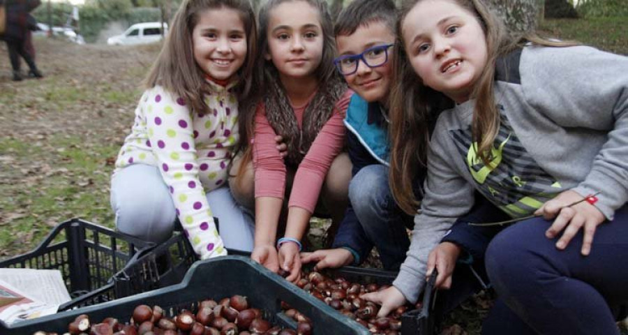 Reportaje | El magosto inunda 
de citas la comarca de O Salnés