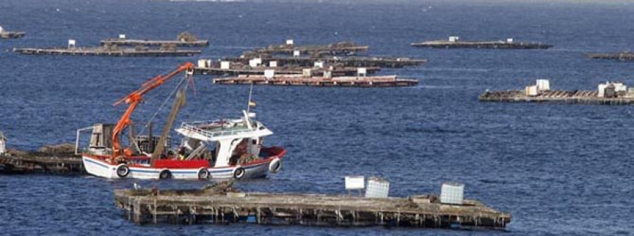 La toxina diarreica  sigue imparable y deja a Arousa con dos polígonos