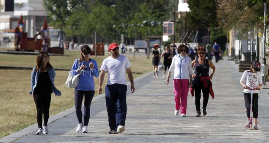 Las múltiples caídas en el Paseo llevan a Ravella a reclamar una reforma integral