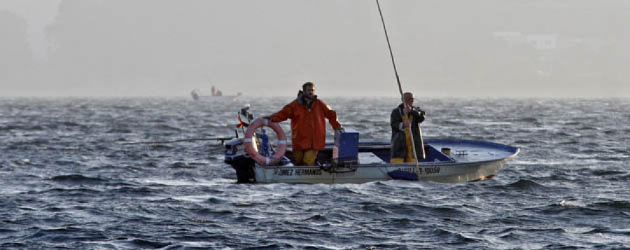 El libre marisqueo agoniza en Arousa con  30 barcos en plena campaña navideña