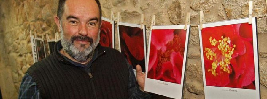 Una muestra fotográfica inaugura la Exposición Internacional de la Camelia