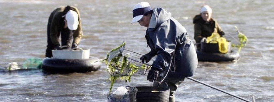 Mariscadoras de Carril recogen firmas para que la directiva informe del plan de explotación