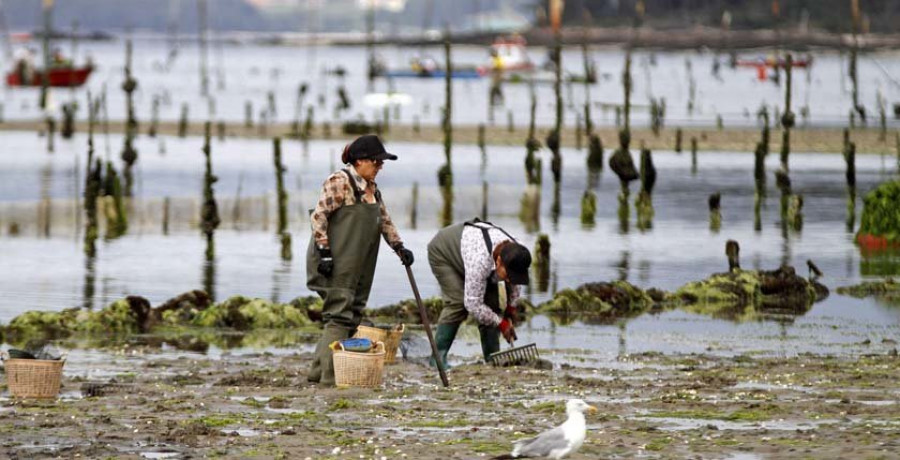 Siete mariscadores denuncian al patrón por impedirles vender sus capturas