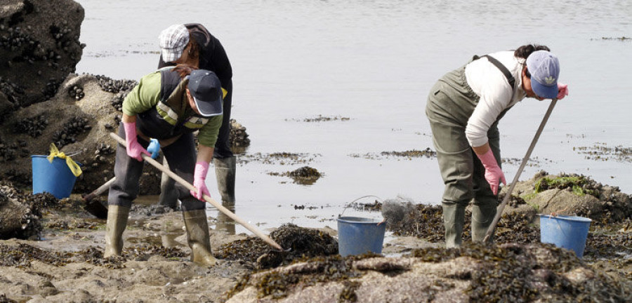 La demora de una ayuda de Mar retrasa los cobros de las mariscadoras de Vilaxoán