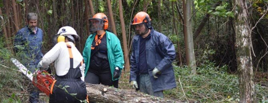 Un curso formativo de trabajos forestales permite acondicionar A Carballeira da Silva y Quintáns