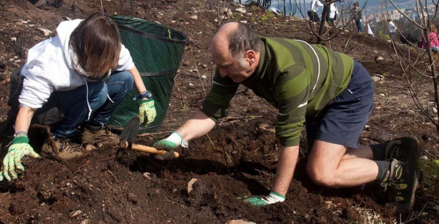 Un centenar de voluntarios se unen a la campaña de Abanca para plantar 6.000 árboles