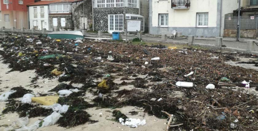 El estiércol y los restos traídos por la marea llenan la playa urbana desde Carril hasta A Concha