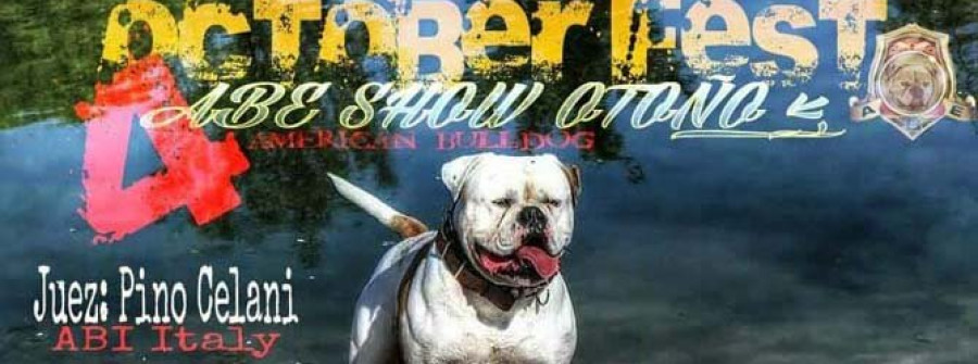 La ciudad acogerá el 24 de octubre  la cuarta exposición de American Bulldog España con más de 50 perros