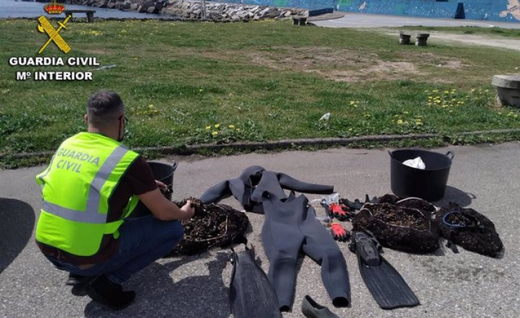 Seis detenidos y cuatro investigados en la desarticulación de un grupo dedicado al furtivismo de percebe en Pontevedra