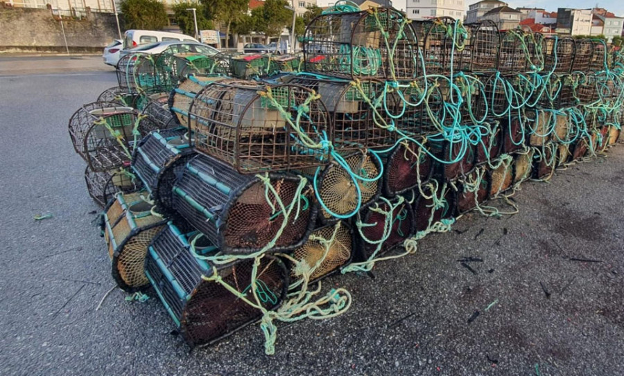 Decomisan más de 400 kilos de marisco en los puertos de O Grove, Tragove y O Xufre