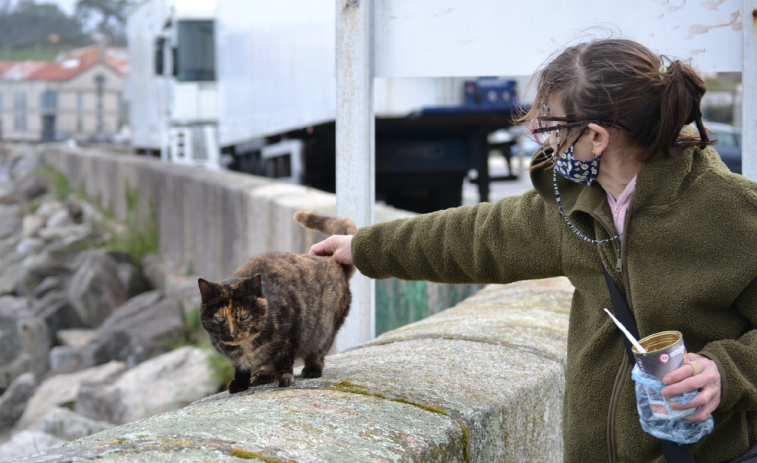 La campaña pionera de control de la población felina en Ribeira evitó el nacimiento de 288 gatos en la calle