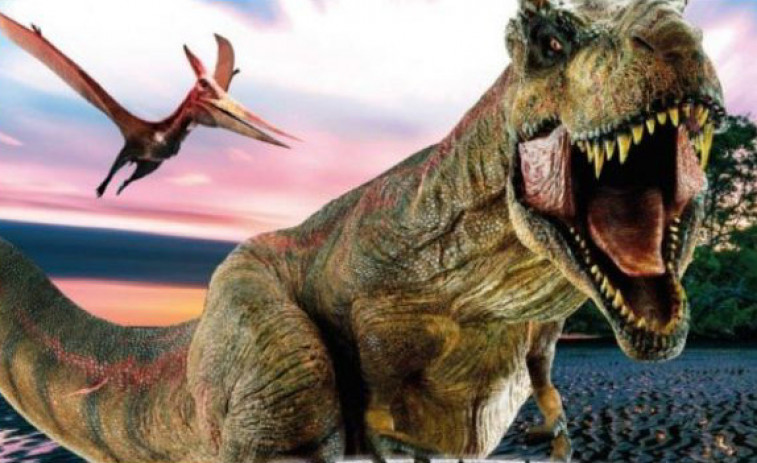 Una veintena de dinosaurios a tamaño real se exhibirán los días 11 y 12 de este mes en el polideportivo de A Fieiteira, en Ribeira