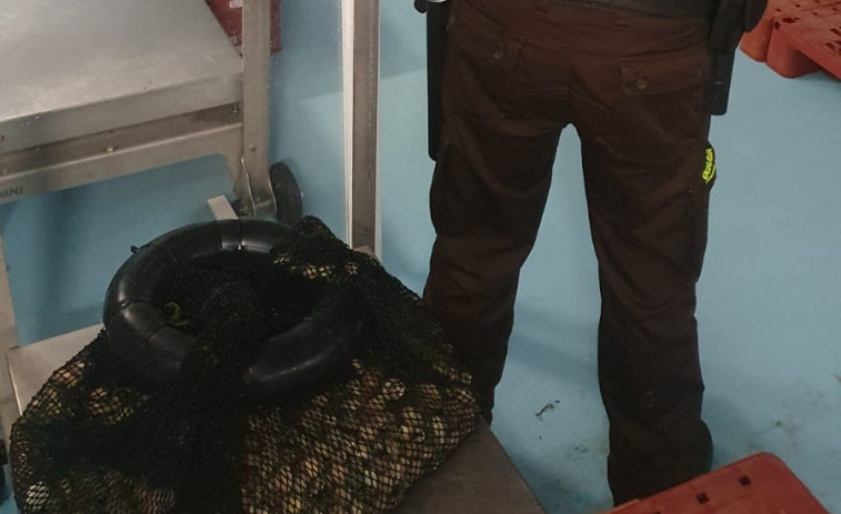 Vigilantes de la cofradía de Cabo de Cruz intervienen a un furtivo con 29 kilos de almejas