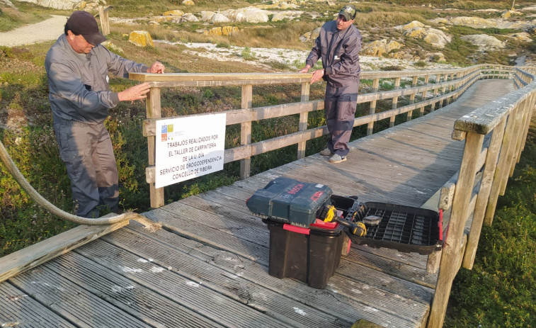 Usuarios de la UAD iniciaron la restauración del paseo de madera y su barandilla en la isla de Sálvora