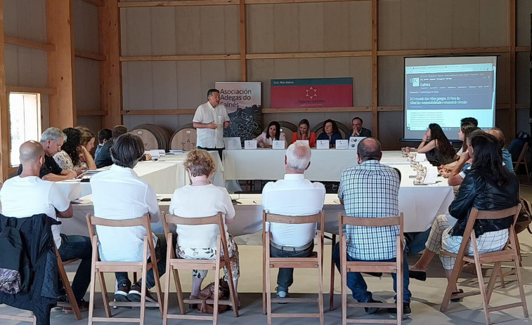 El Foro “O Mundo dos Viños” aborda la situación de la viticultura sostenible en la comarca de O Salnés