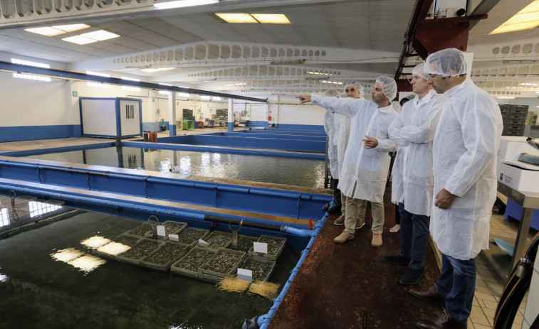 El sector mar-industria de Cambados confía en la ley del litoral de Galicia