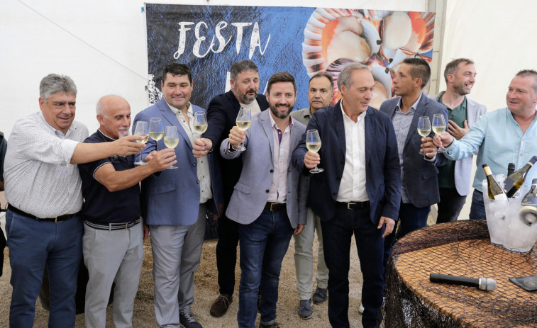 Cambados inaugura la XIX Festa da Vieira que ofrece el bivalvo en ocho recetas distintas